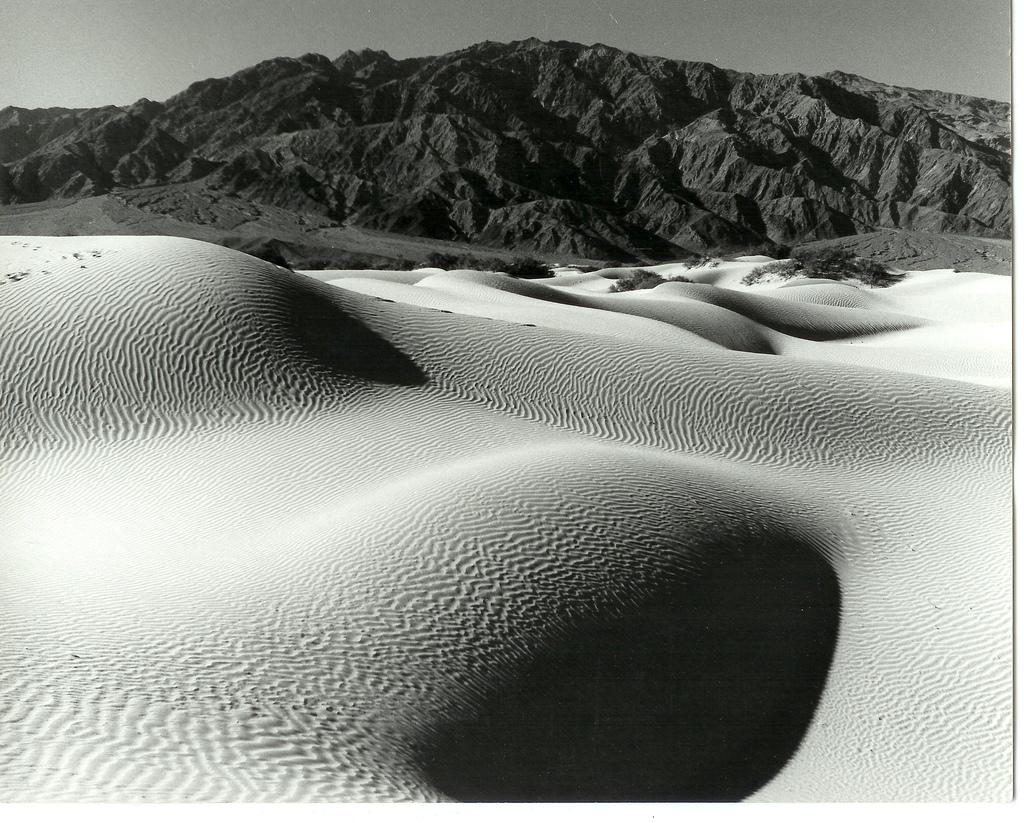 Sand Dunes Death Valley - John Shappell