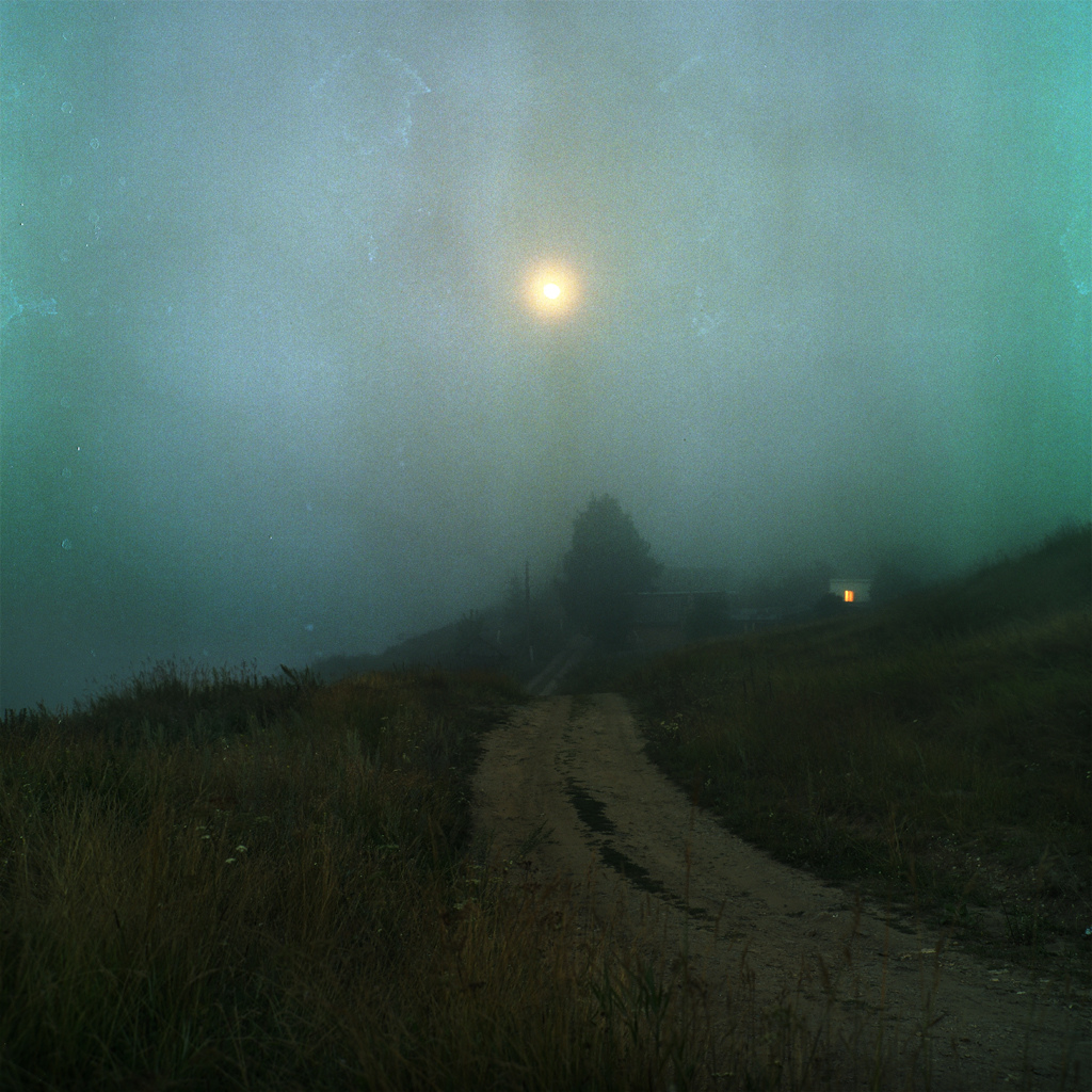 Anton Novoselov